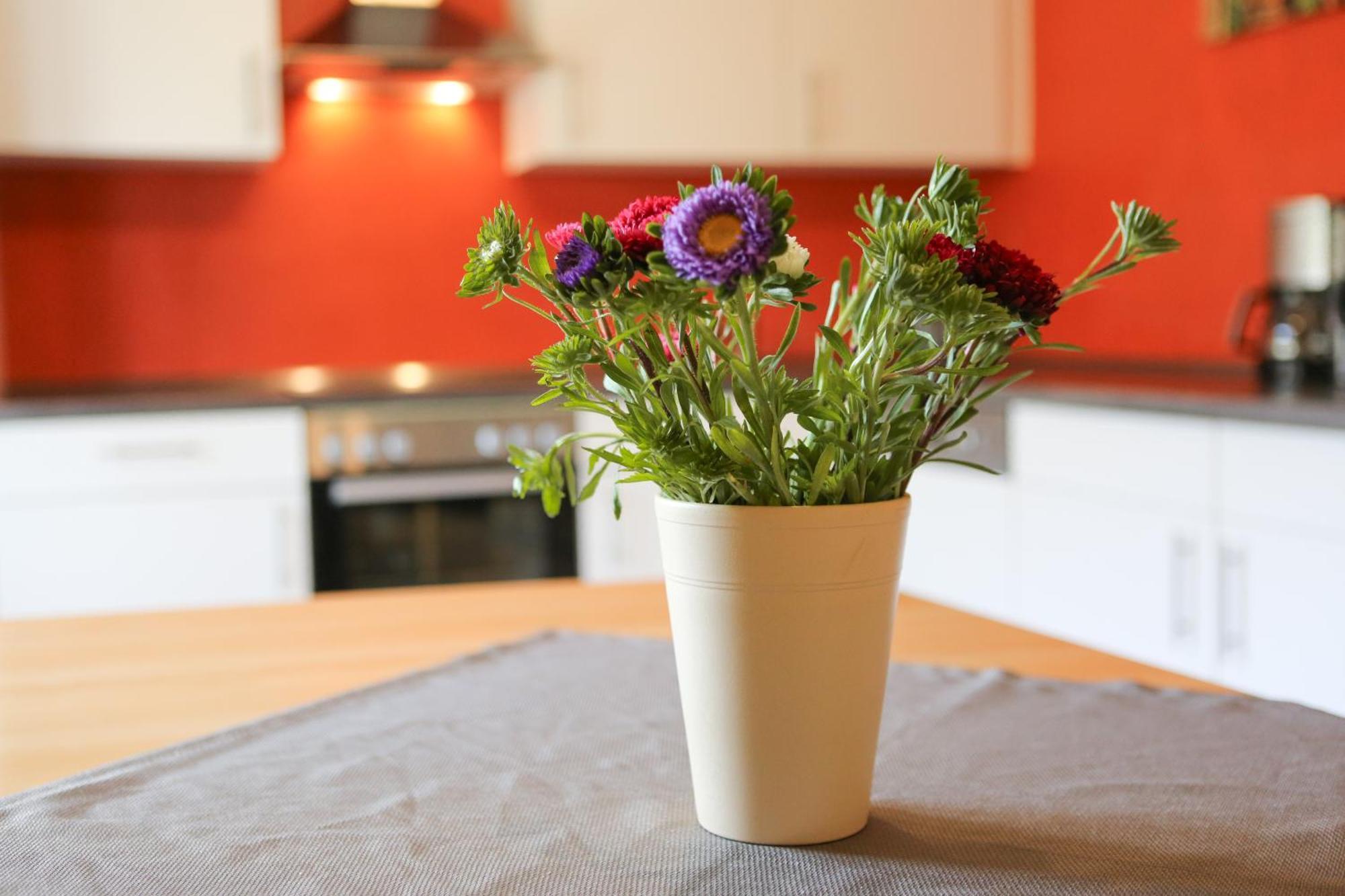 Porisch Appartement *