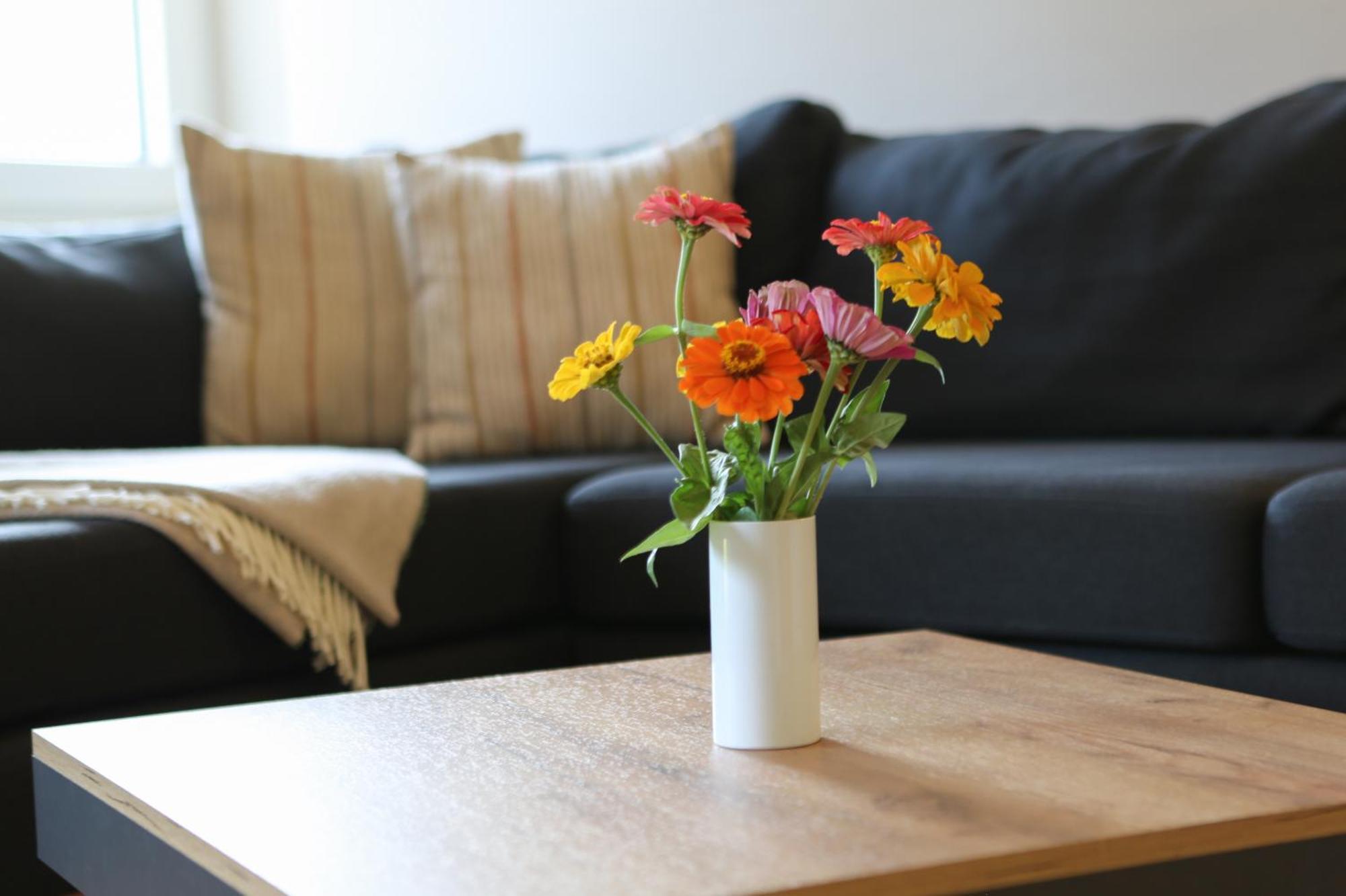 Appartement Porisch