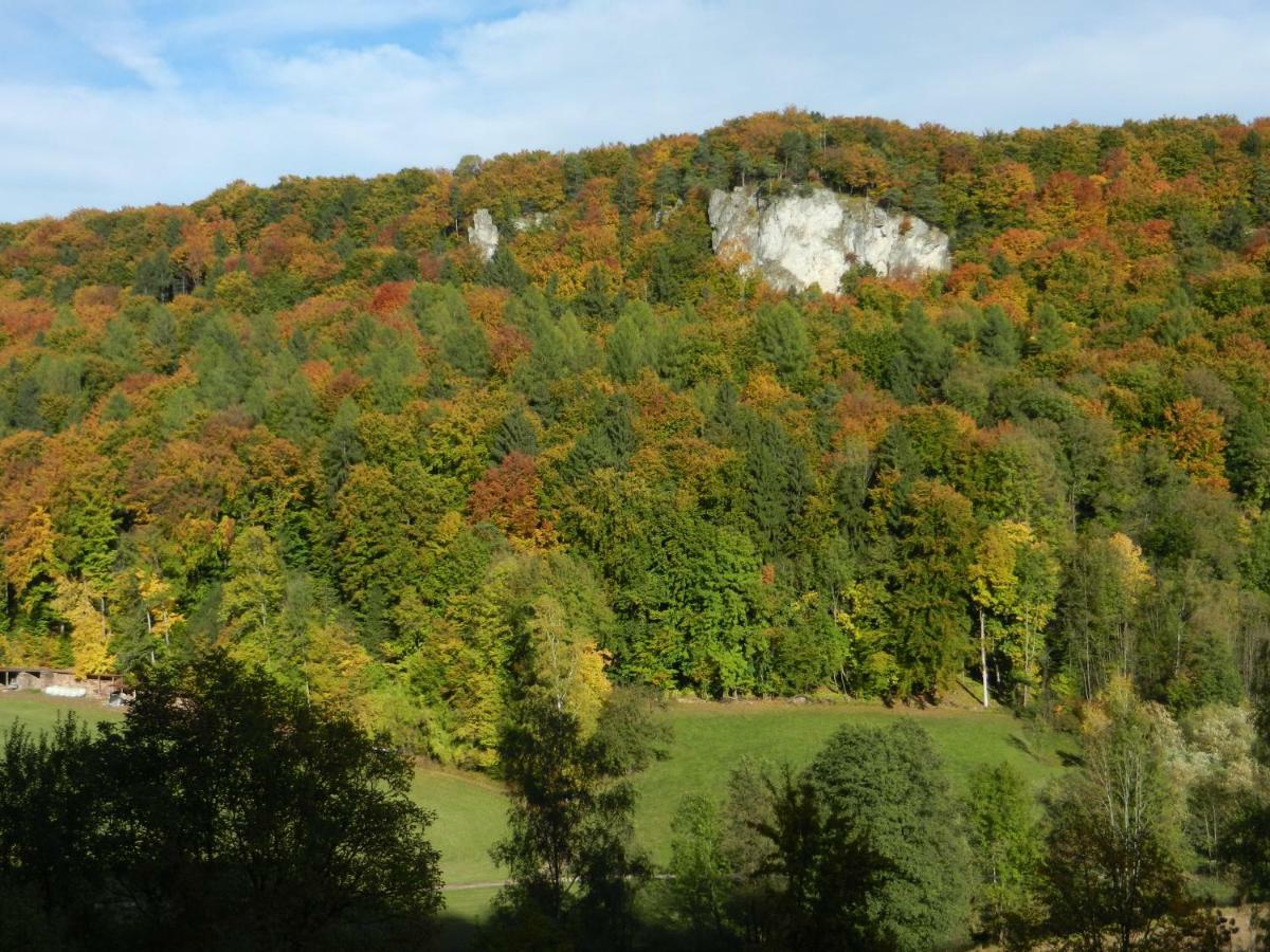 Porisch Egloffstein